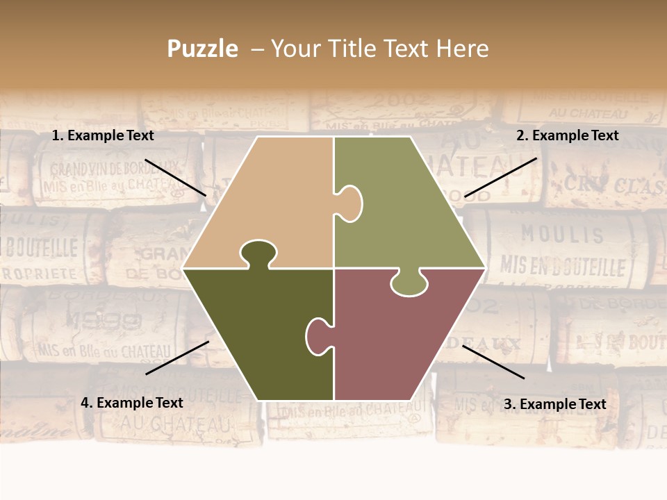 France Castle Cork PowerPoint Template