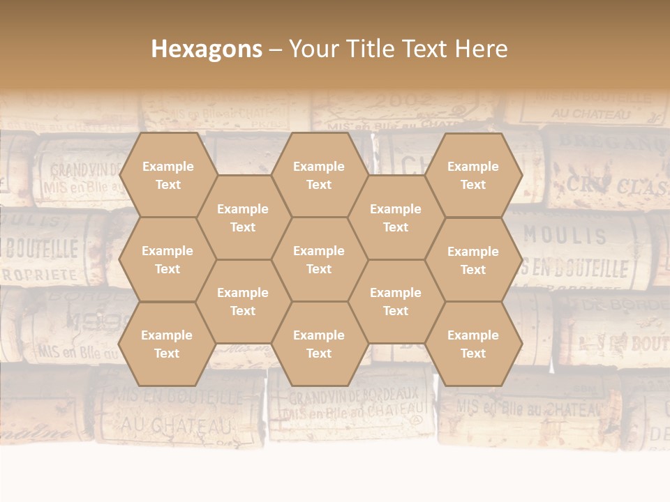 France Castle Cork PowerPoint Template