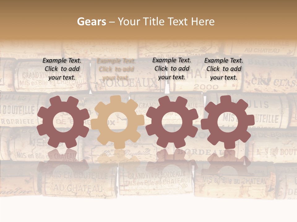 France Castle Cork PowerPoint Template