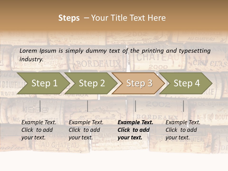 France Castle Cork PowerPoint Template