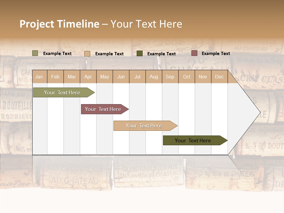 France Castle Cork PowerPoint Template