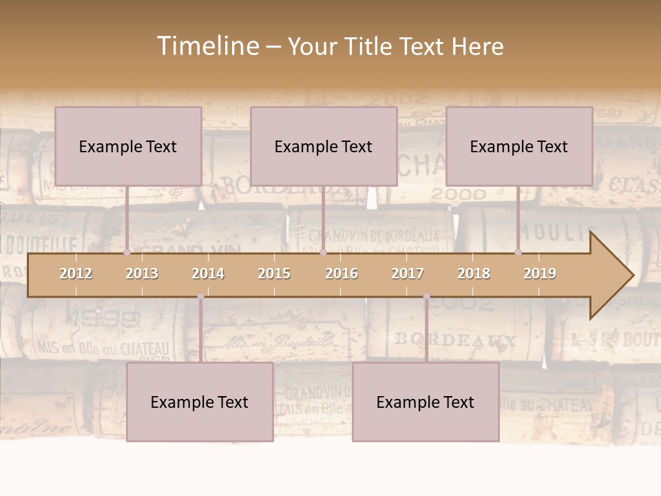 France Castle Cork PowerPoint Template