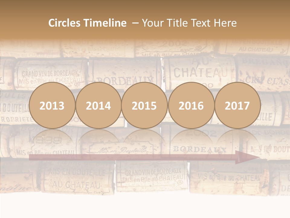 France Castle Cork PowerPoint Template