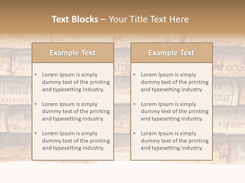 France Castle Cork PowerPoint Template