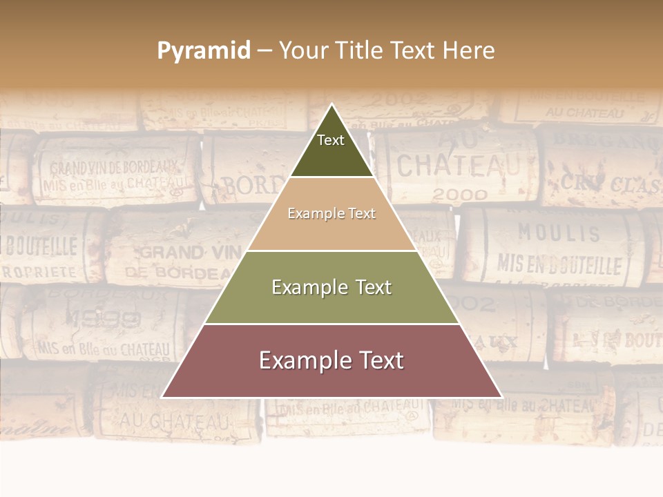 France Castle Cork PowerPoint Template