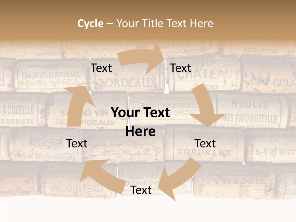 France Castle Cork PowerPoint Template