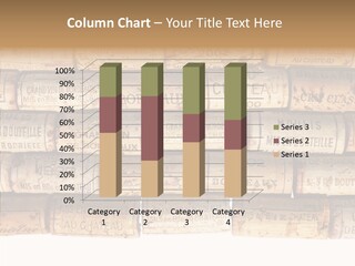 France Castle Cork PowerPoint Template