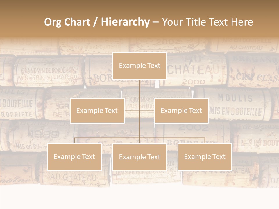 France Castle Cork PowerPoint Template