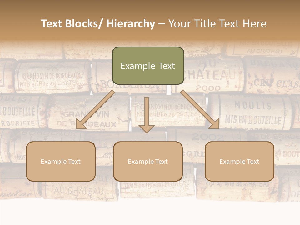 France Castle Cork PowerPoint Template