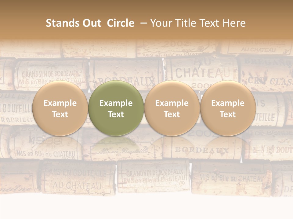 France Castle Cork PowerPoint Template