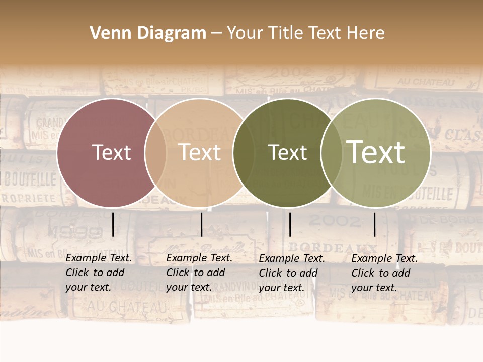France Castle Cork PowerPoint Template