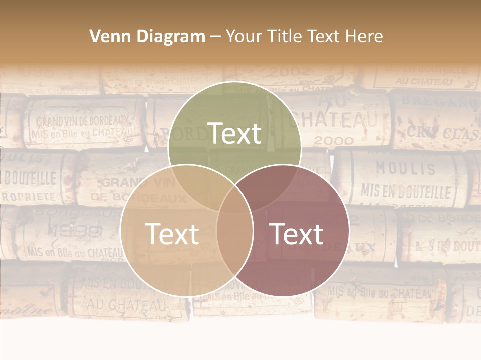 France Castle Cork PowerPoint Template