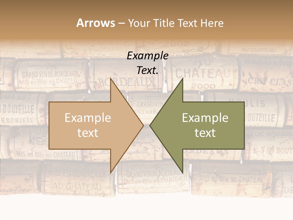 France Castle Cork PowerPoint Template