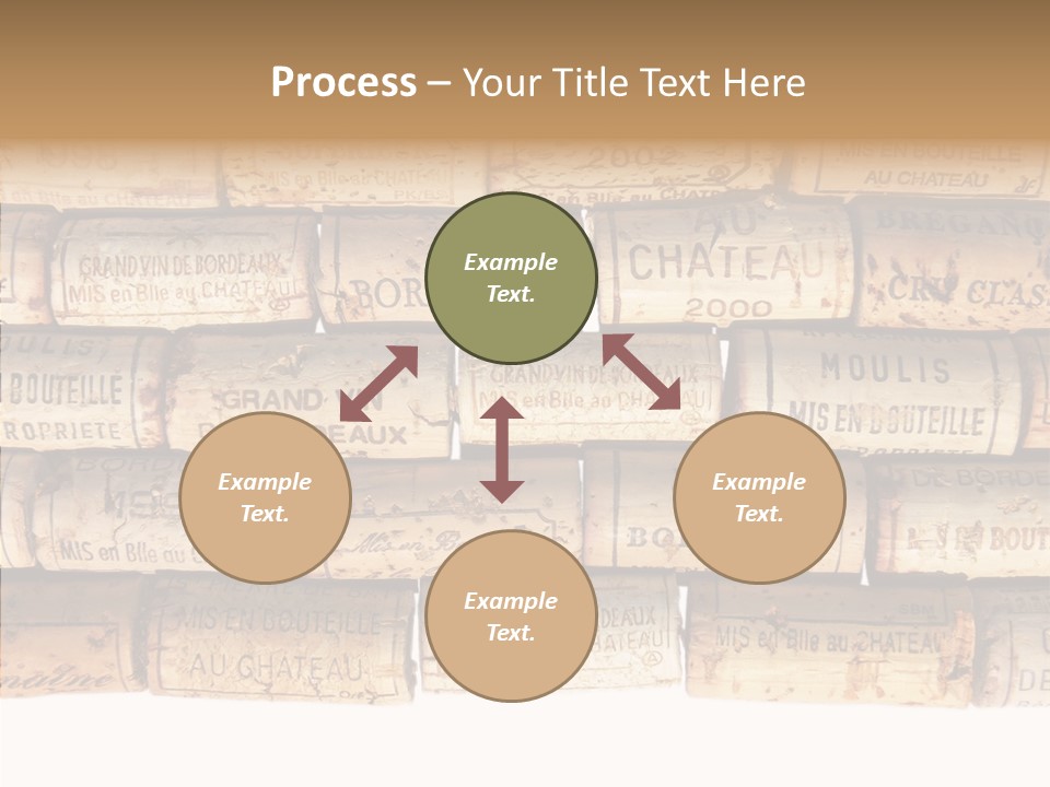 France Castle Cork PowerPoint Template