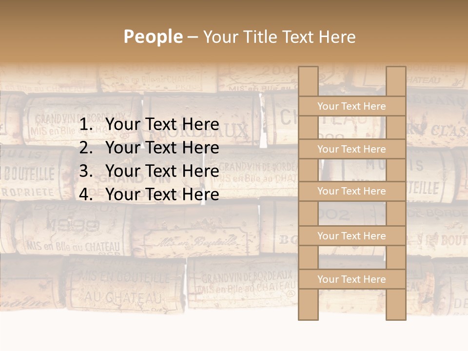 France Castle Cork PowerPoint Template