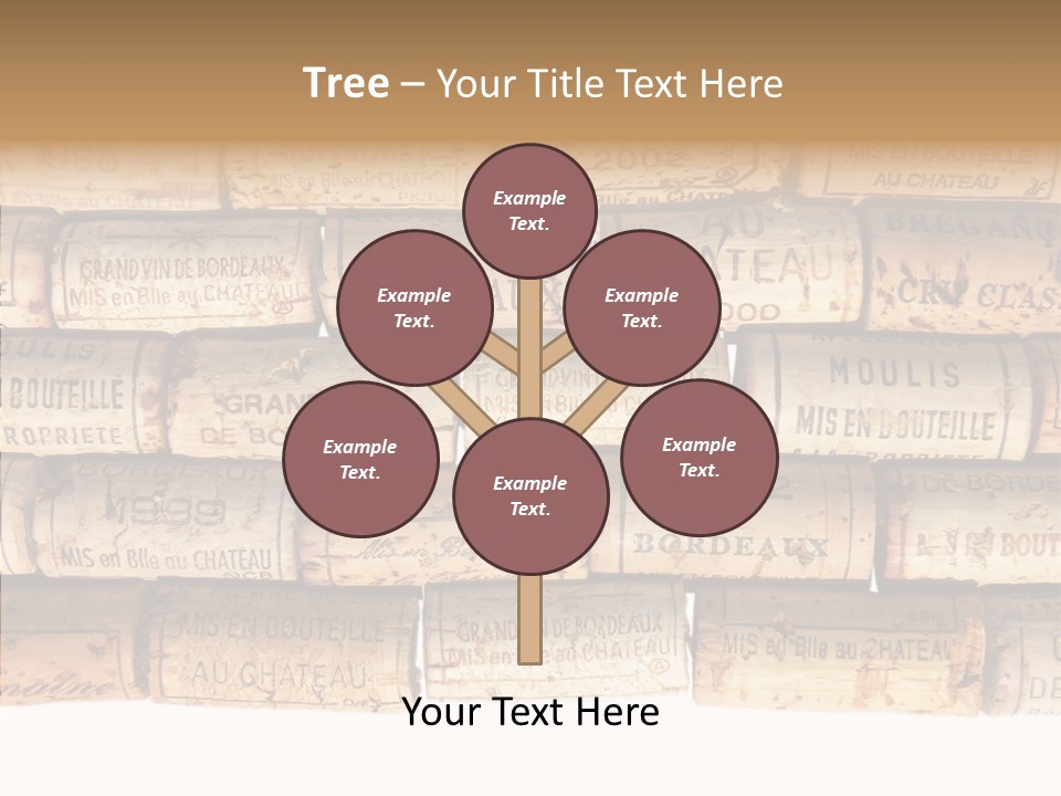 France Castle Cork PowerPoint Template