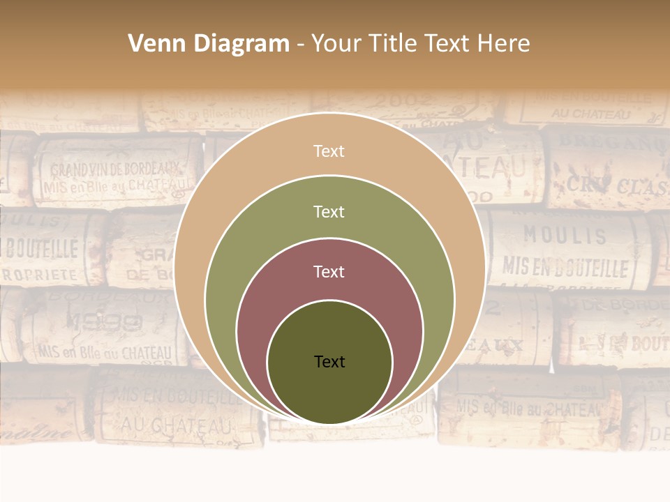 France Castle Cork PowerPoint Template