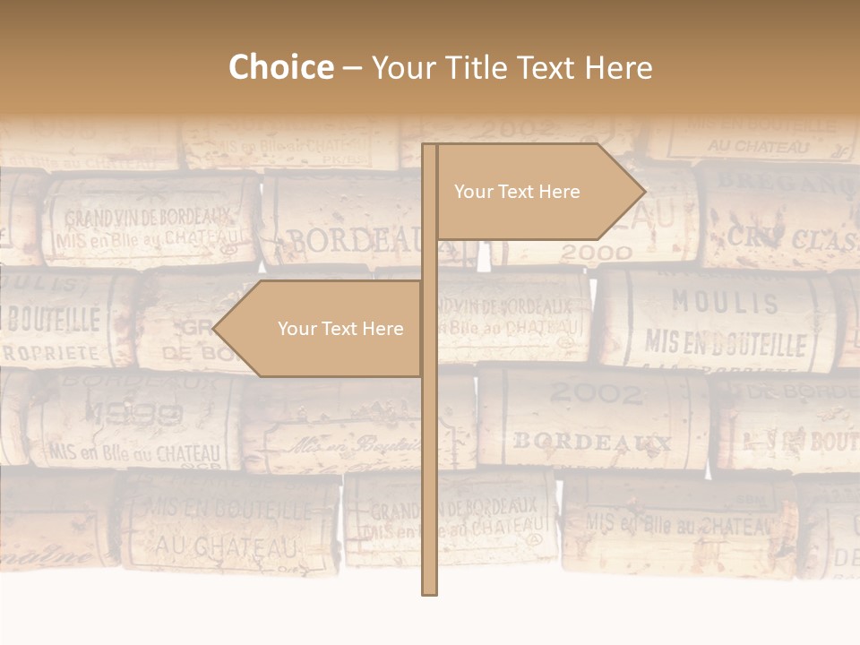 France Castle Cork PowerPoint Template