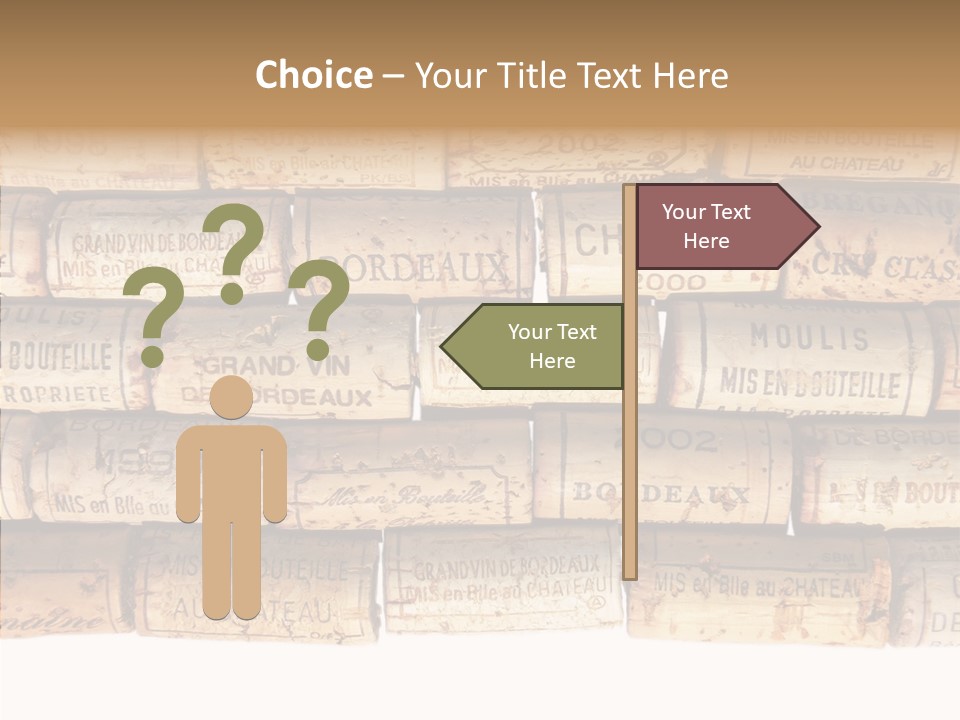 France Castle Cork PowerPoint Template