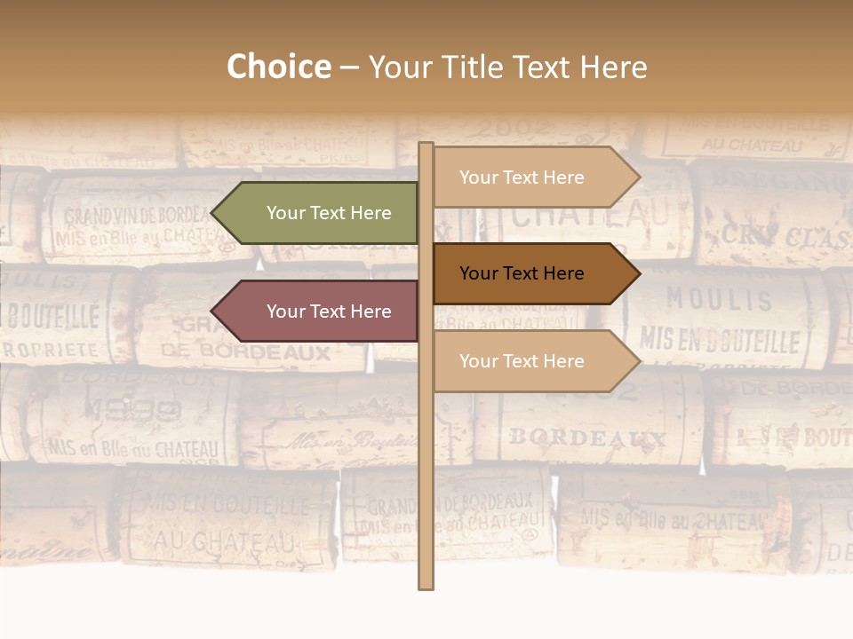 France Castle Cork PowerPoint Template