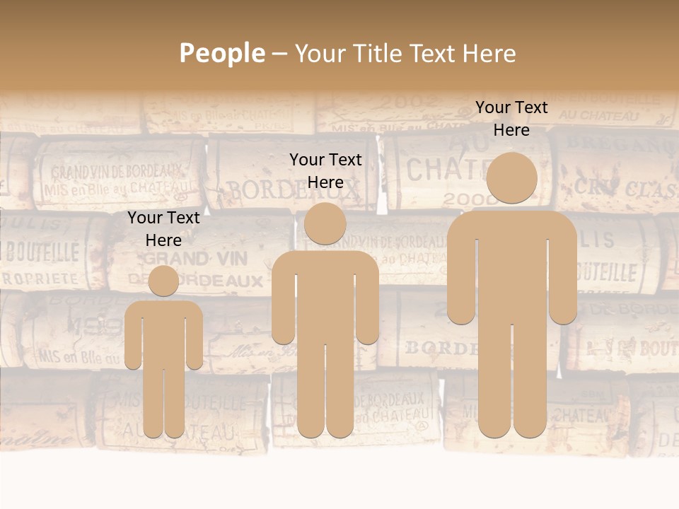 France Castle Cork PowerPoint Template