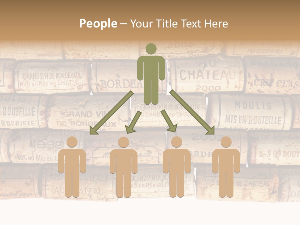 France Castle Cork PowerPoint Template