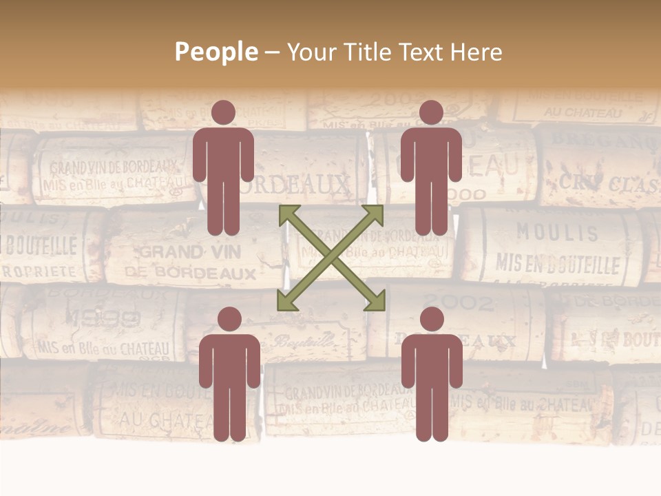 France Castle Cork PowerPoint Template