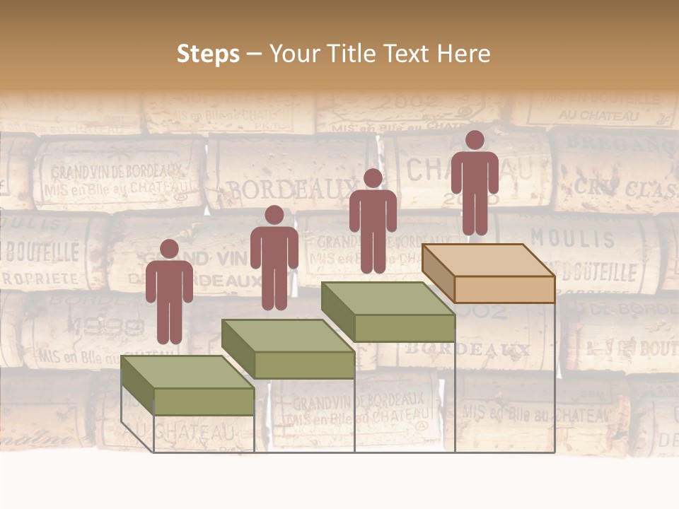 France Castle Cork PowerPoint Template