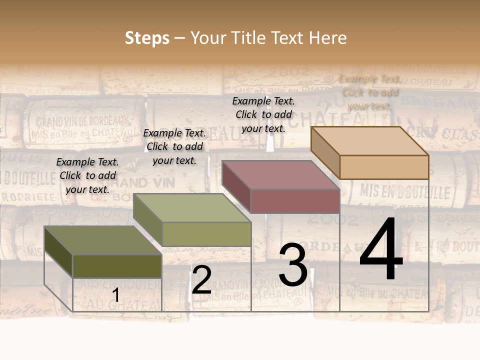 France Castle Cork PowerPoint Template