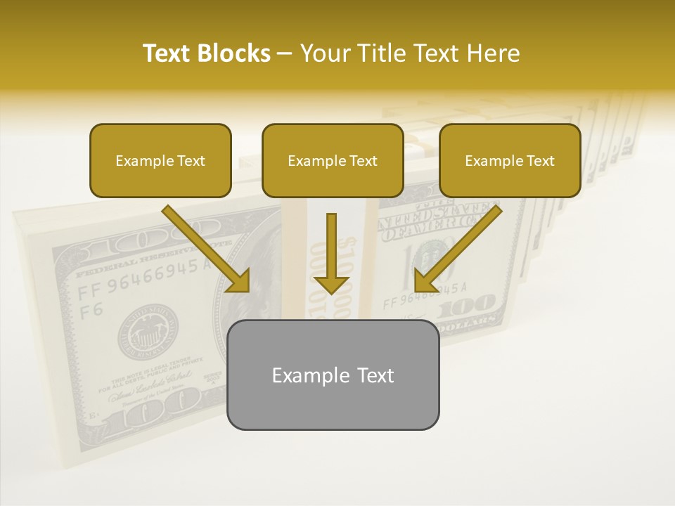 Monetary Treasury Bargain PowerPoint Template