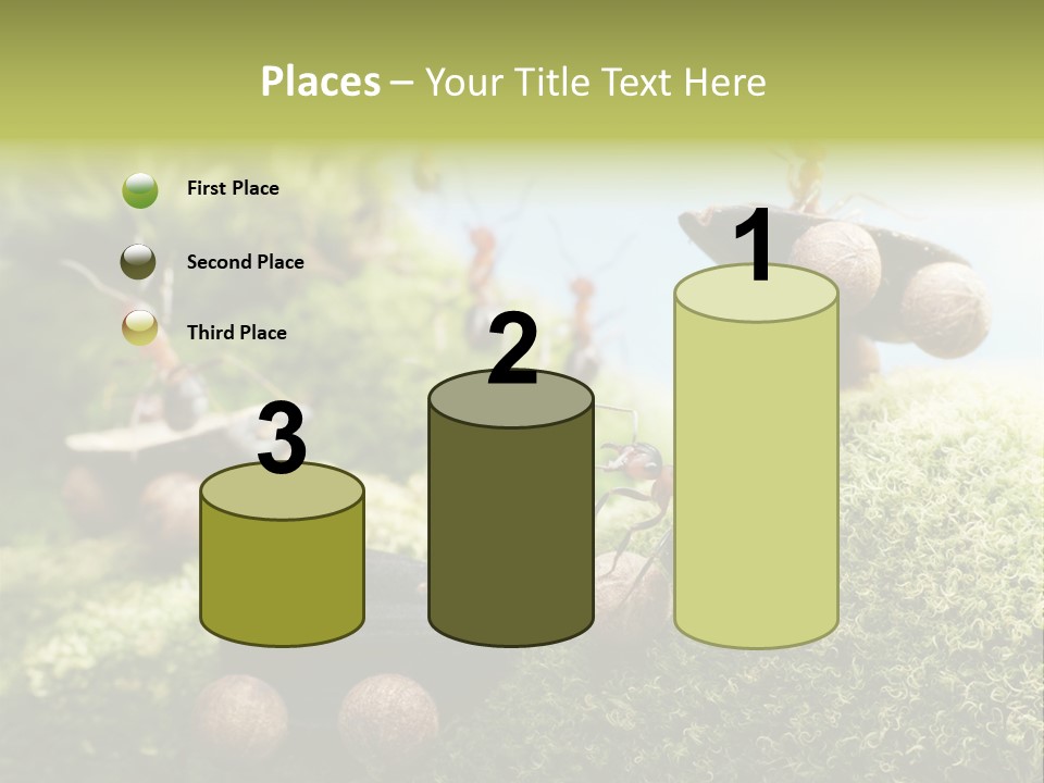 A Group Of Ants On A Moss Covered Hill PowerPoint Template