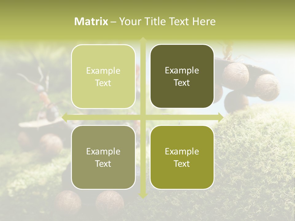 A Group Of Ants On A Moss Covered Hill PowerPoint Template