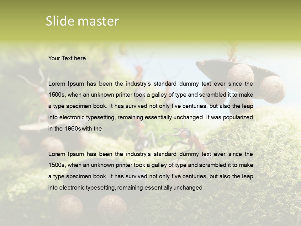A Group Of Ants On A Moss Covered Hill PowerPoint Template