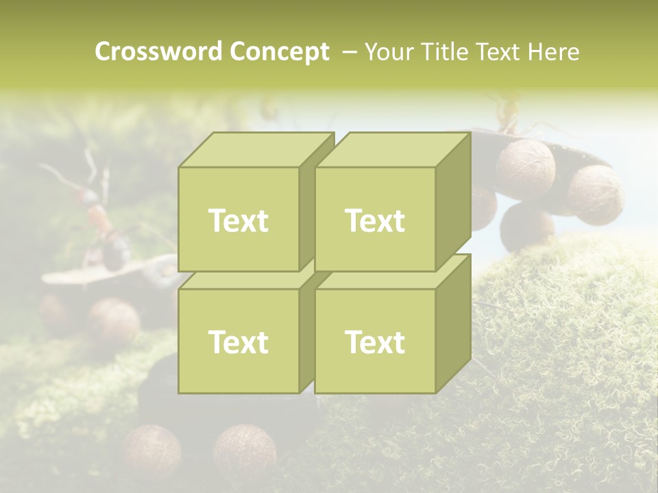 A Group Of Ants On A Moss Covered Hill PowerPoint Template