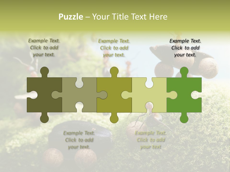 A Group Of Ants On A Moss Covered Hill PowerPoint Template