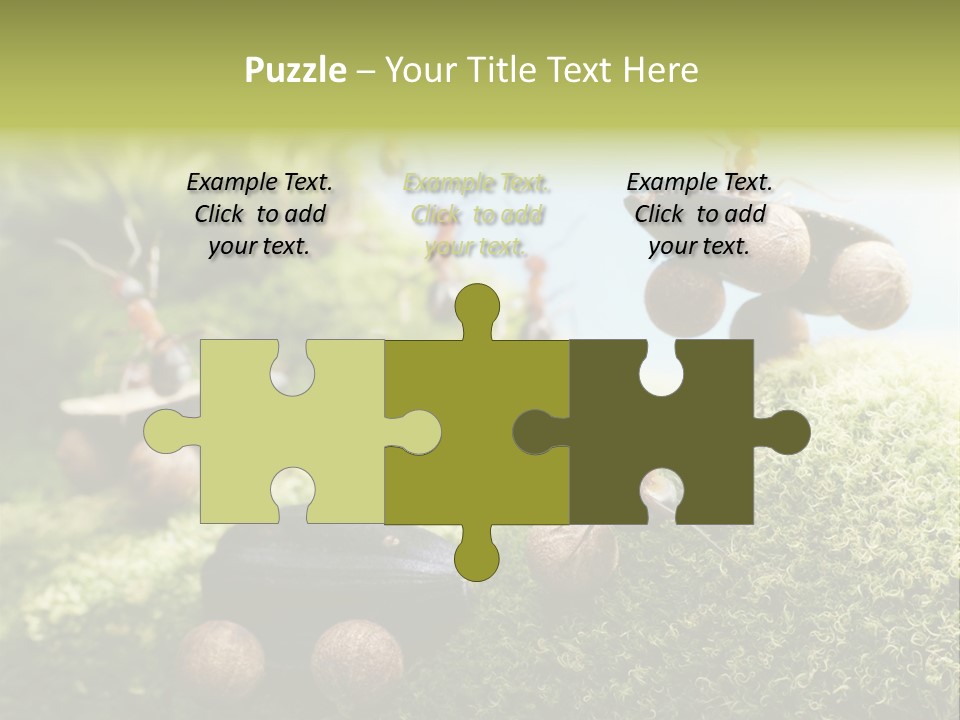 A Group Of Ants On A Moss Covered Hill PowerPoint Template