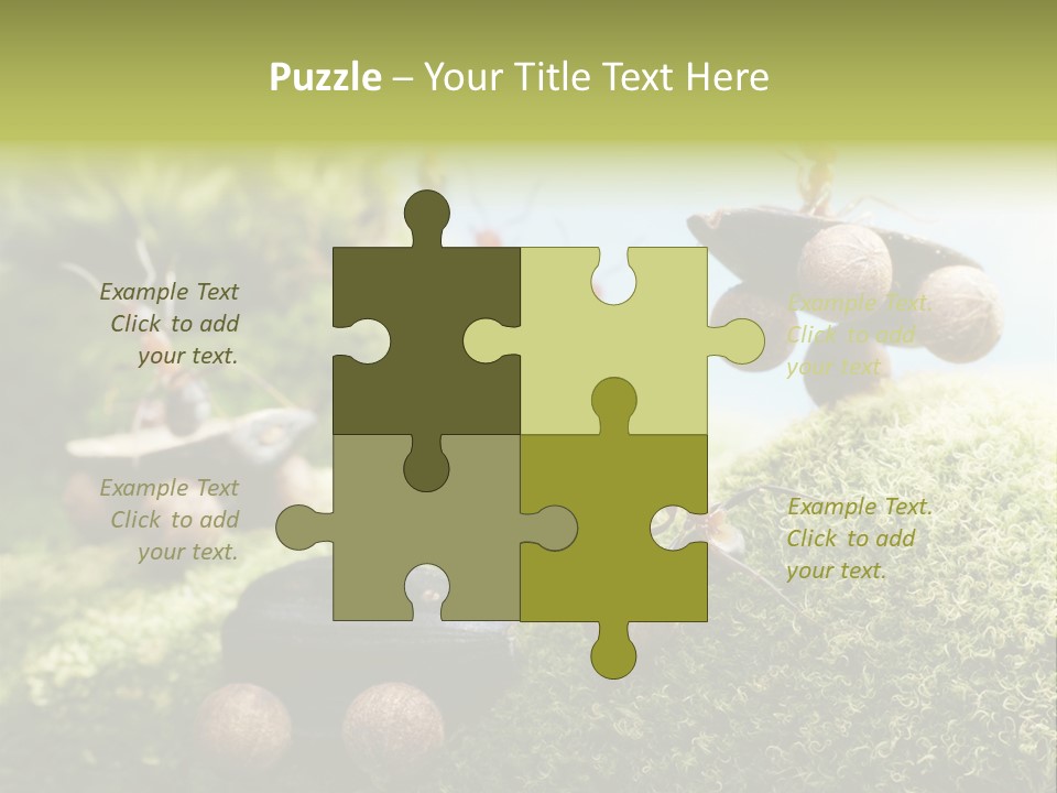 A Group Of Ants On A Moss Covered Hill PowerPoint Template