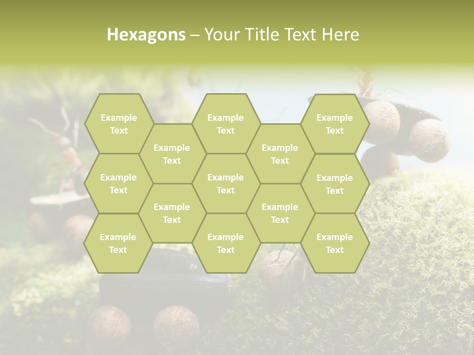 A Group Of Ants On A Moss Covered Hill PowerPoint Template