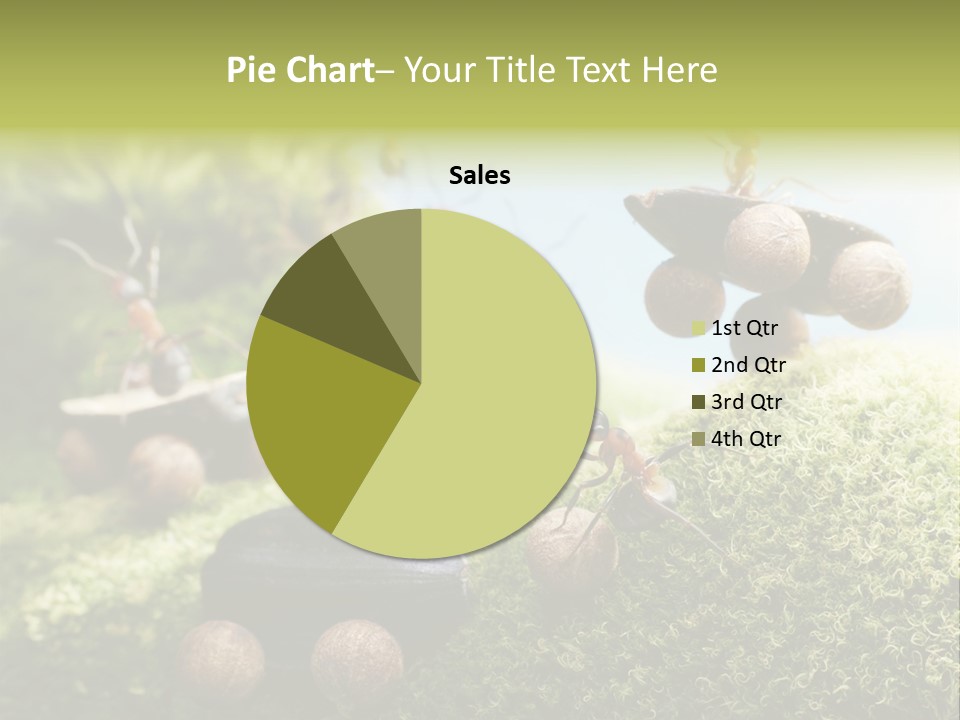 A Group Of Ants On A Moss Covered Hill PowerPoint Template