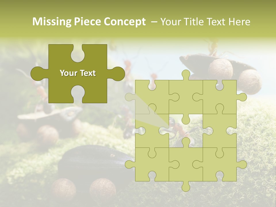 A Group Of Ants On A Moss Covered Hill PowerPoint Template