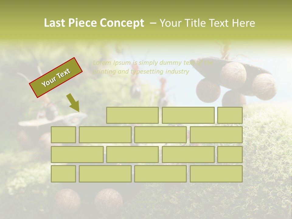 A Group Of Ants On A Moss Covered Hill PowerPoint Template