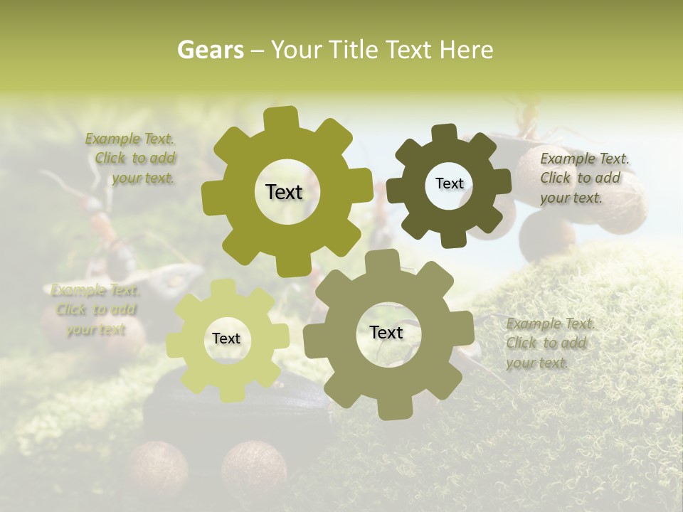 A Group Of Ants On A Moss Covered Hill PowerPoint Template