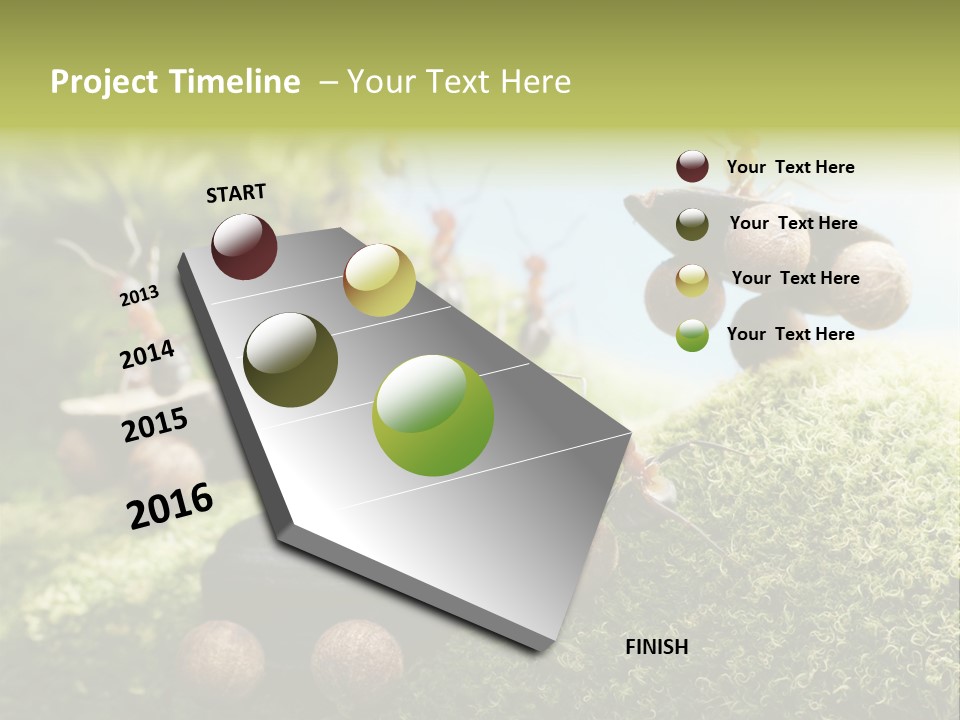 A Group Of Ants On A Moss Covered Hill PowerPoint Template