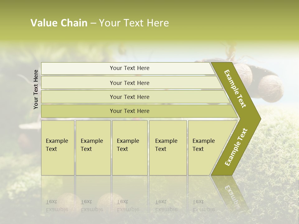 A Group Of Ants On A Moss Covered Hill PowerPoint Template