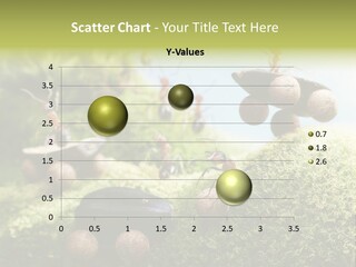 A Group Of Ants On A Moss Covered Hill PowerPoint Template