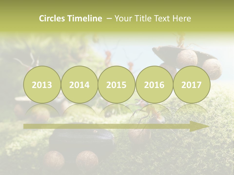 A Group Of Ants On A Moss Covered Hill PowerPoint Template
