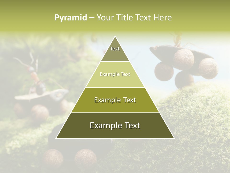 A Group Of Ants On A Moss Covered Hill PowerPoint Template