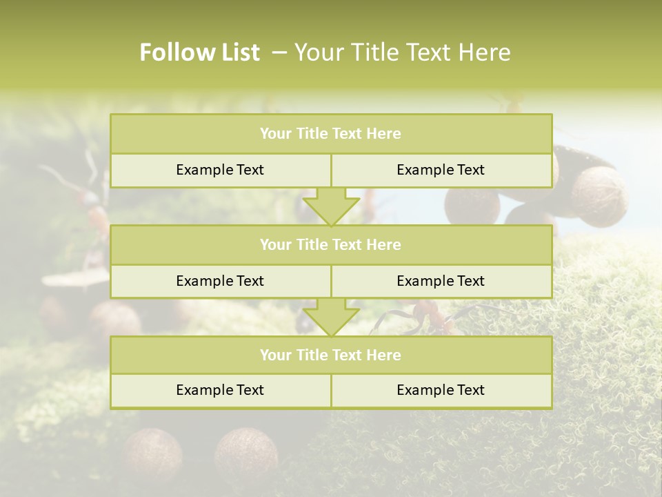 A Group Of Ants On A Moss Covered Hill PowerPoint Template