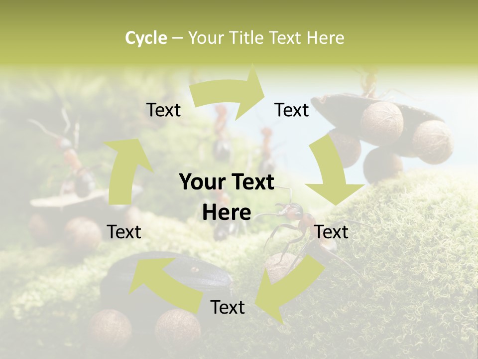 A Group Of Ants On A Moss Covered Hill PowerPoint Template