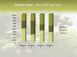 A Group Of Ants On A Moss Covered Hill PowerPoint Template